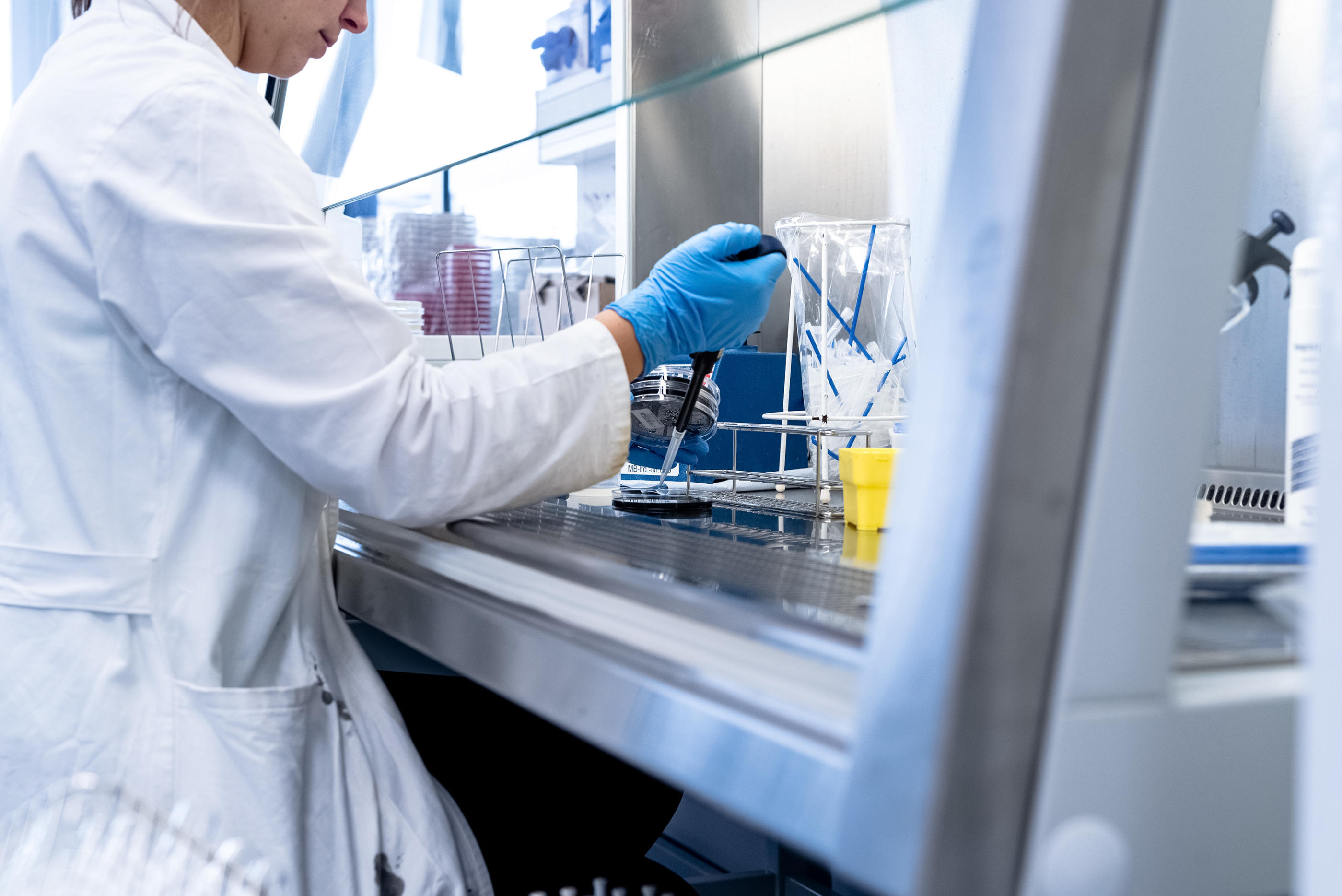 Microbiological Testing AFL